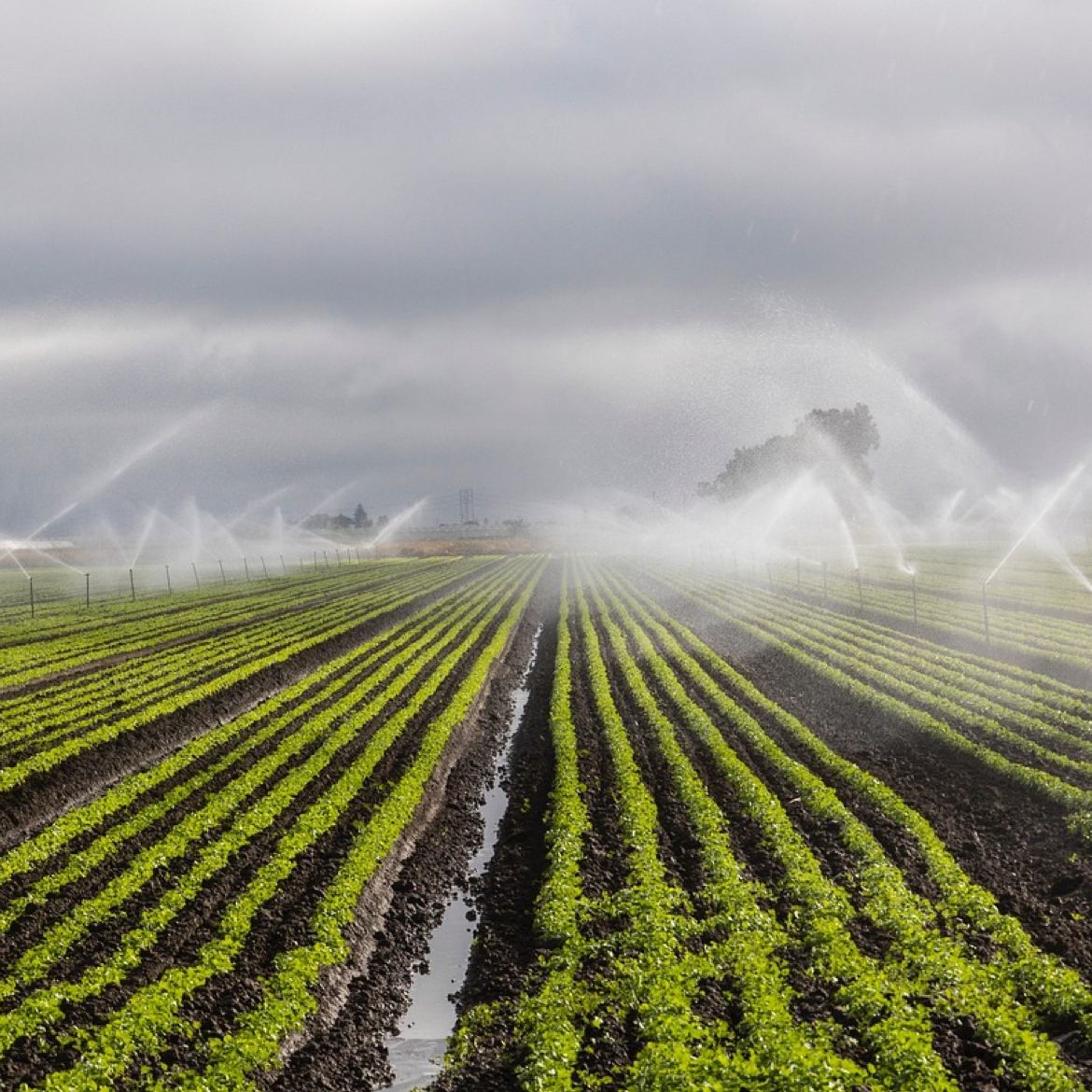 Smart Agriculture