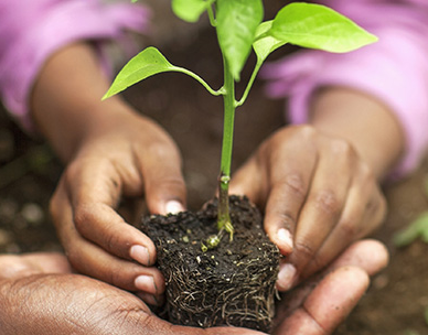 Industrial IoT Sensor