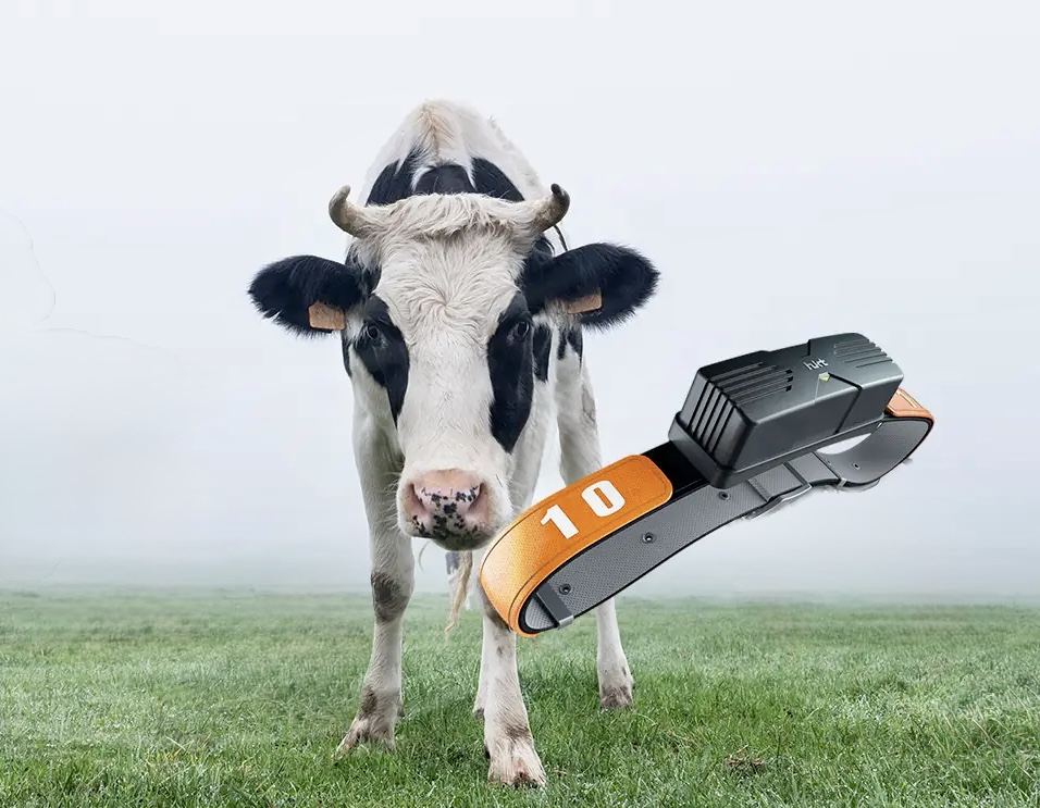 Precision Livestock Farming
