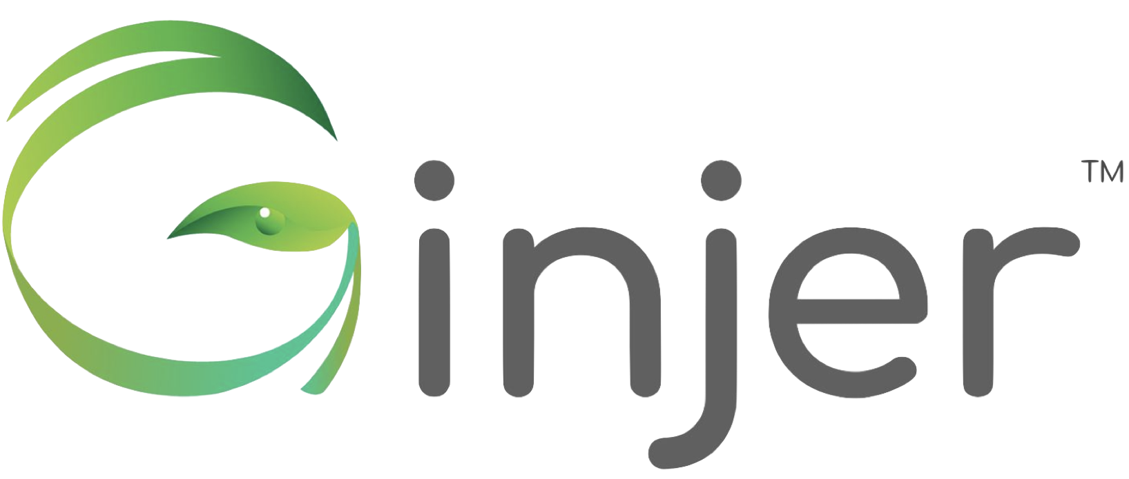 Ginjer Logo